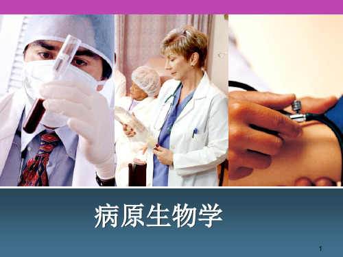病原生物学PPT课件