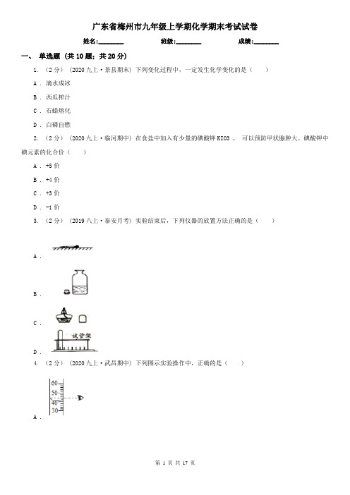 广东省梅州市九年级上学期化学期末考试试卷