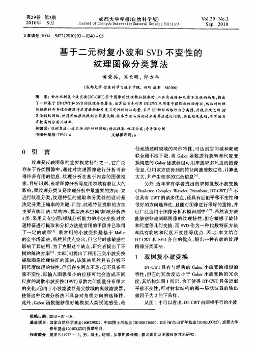 基于二元树复小波和SVD不变性的纹理图像分类算法