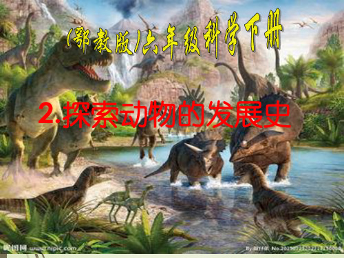 鄂教版六年级下册科学探索动物的发展史