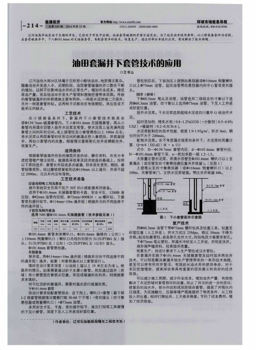 油田套漏井下套管技术的应用