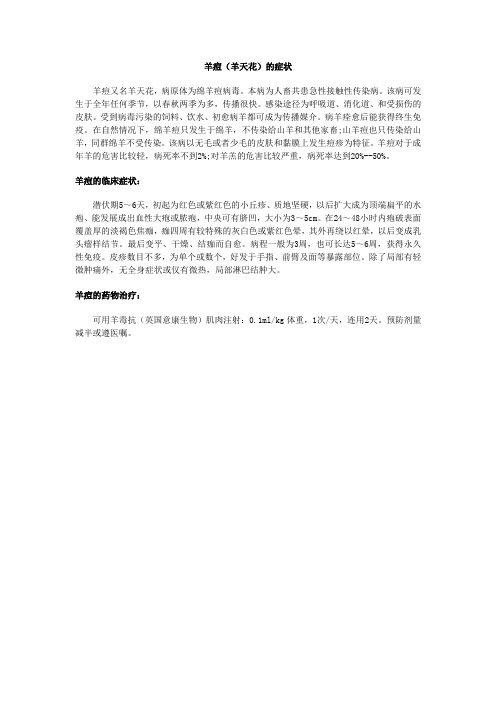 羊痘(羊天花)的症状
