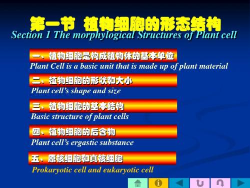 第一节植物细胞的形态结构