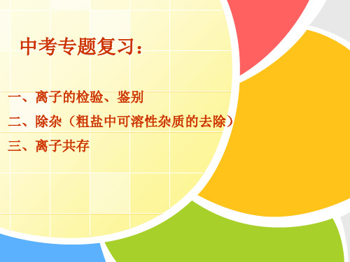 最新初中离子共存、检验、除杂资料