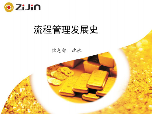 BPM发展史