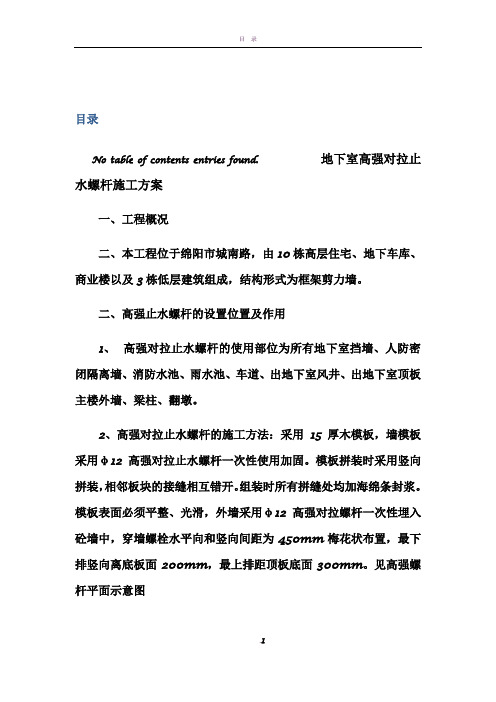 地下室高强对拉止水螺杆施工方案