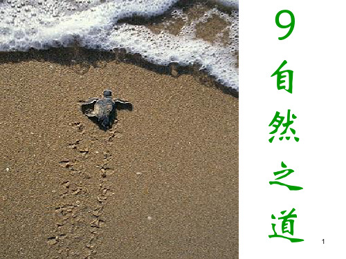 人教版部编版四年级下册语文 《自然之道》PPT教学课件3