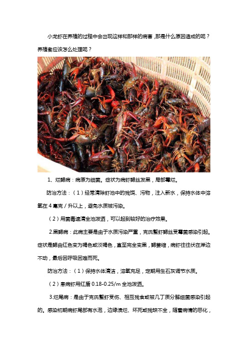 小龙虾常见病害和防治方法