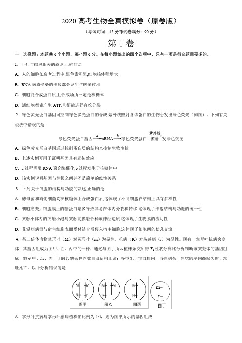 黄金卷06备战2020高考生物全真模拟卷(原卷版) 