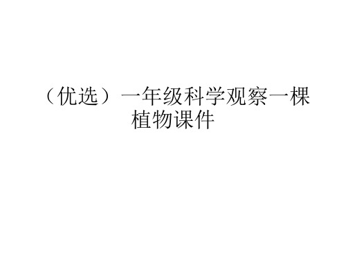 (完整)一级科学观察一棵植物课件演示文稿精品PPT资料精品PPT资料