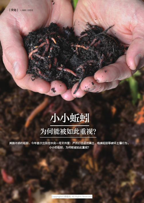 211126572_小小蚯蚓为何能被如此重视？
