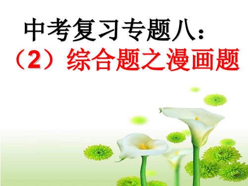 综合j题之(2)漫画题(甘)