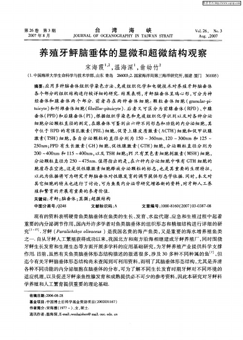 养殖牙鲆脑垂体的显微和超微结构观察
