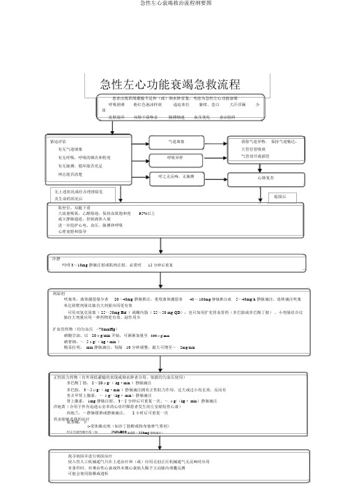 急性左心衰竭救治流程纲要图