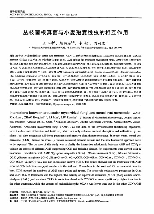 丛枝菌根真菌与小麦孢囊线虫的相互作用