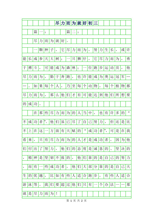 年尽力而为就好初三作文600字