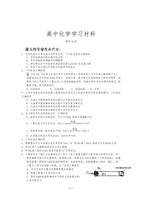鲁科版高中化学必修一高一化学复习：第5周周末作业.docx