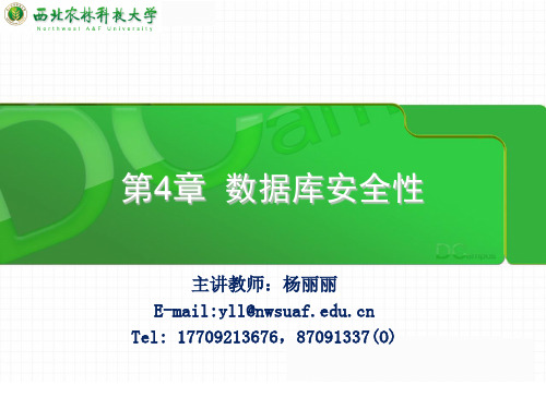 数据库第四章数据库安全性.ppt