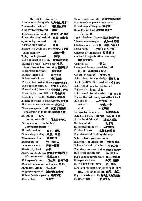 新教材九年级英语 Unit 14 短语归纳