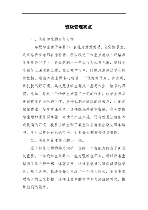 班级管理亮点