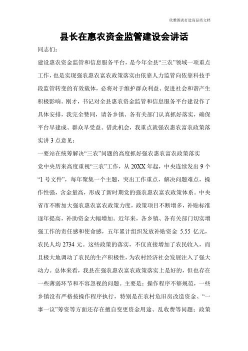 县长在惠农资金监管建设会讲话