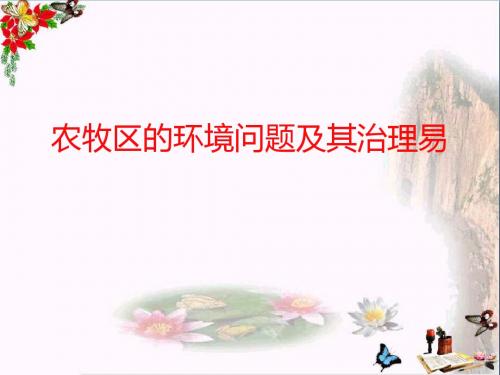 农牧区的环境问题及其治理 PPT优秀课件