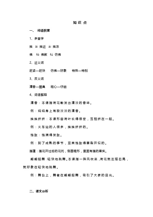 三年级语文下册《荷花》教材+知识点+同步练习 预习用效率高