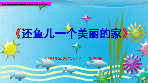 小学科学大象4年级上册《3. 还鱼儿一个美丽的家 》课件公开课