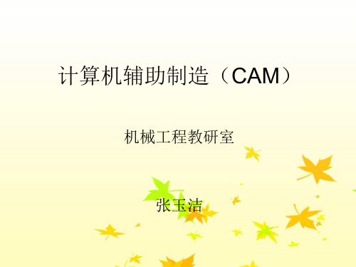 计算机辅助制造(CAM)