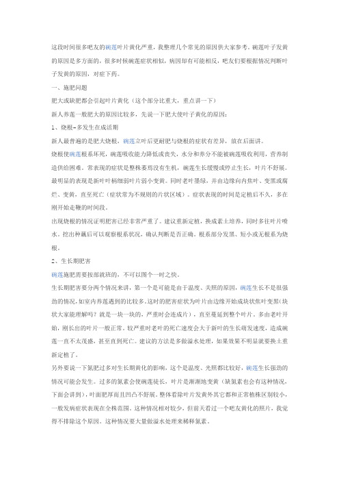 碗莲种植技术