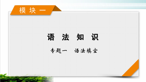 模块1专题1语法填空考法22021届高考英语二轮复习ppt完美课件
