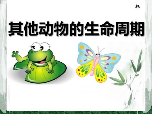 《其他动物的生命周期》动物的生命周期PPT课件2