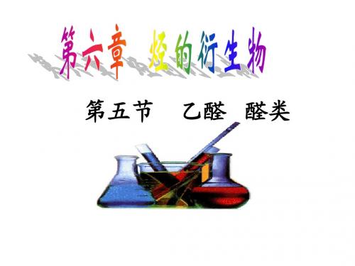 烃的衍生物