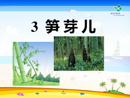 笋芽儿-PPT课件  (2)