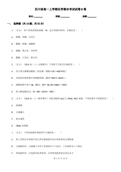 四川省高一上学期化学期末考试试卷B卷