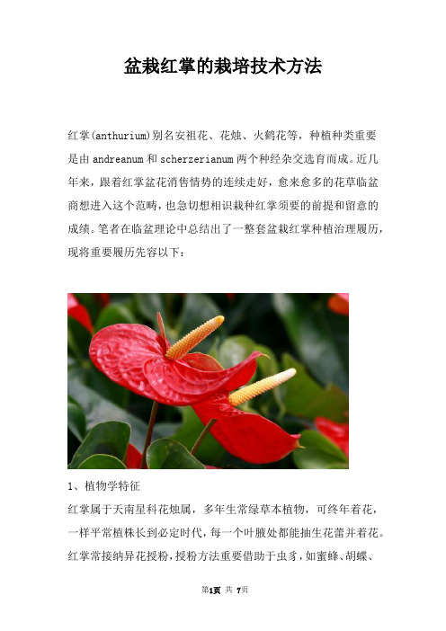 盆栽红掌的栽培技术方法