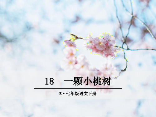 人教部编版七年级语文下册第18课《一棵小桃树》精美课件