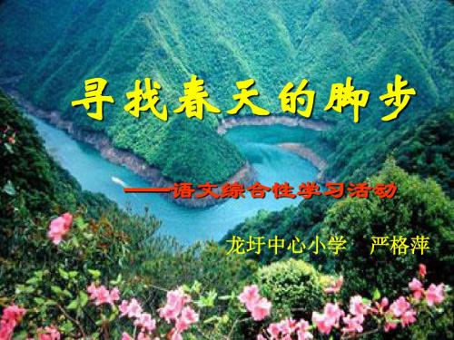 寻觅春天的足迹活动课件