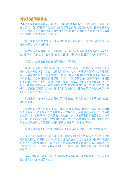西双版纳的绿孔雀