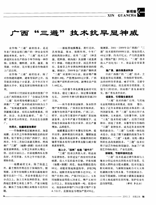 广西“三避”技术抗旱显神威