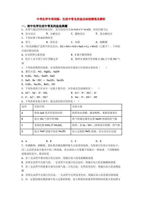 中考化学专项训练：生活中常见的盐达标检测卷及解析
