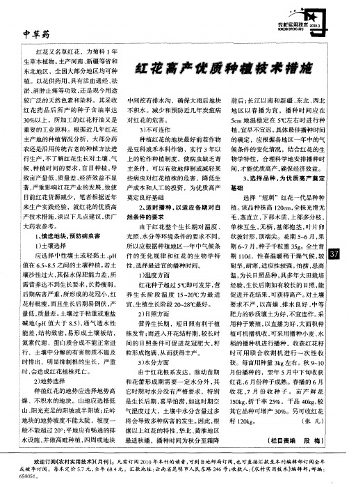 红花高产优质种植技术措施