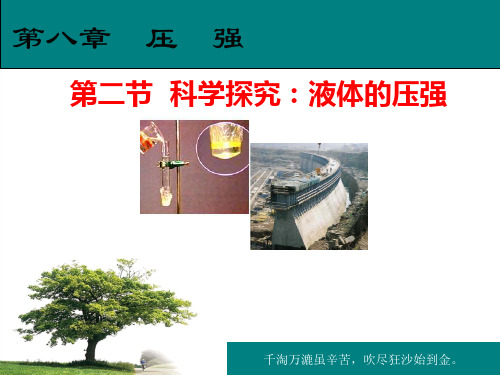 人教版八年级物理下册第二节  科学探究：液体的压强课件