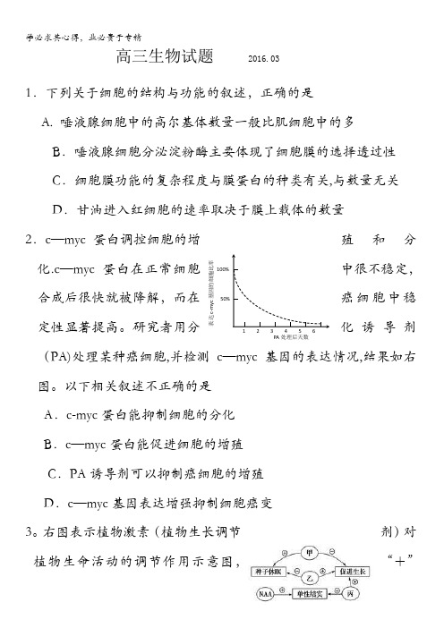 泰安市2016届高三生物一轮模拟试题 含答案