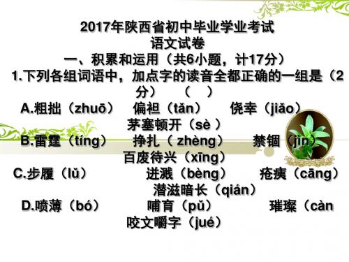 2017陕西中考试题及解析