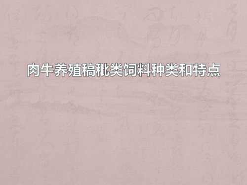 肉牛养殖稿秕类饲料种类和特点