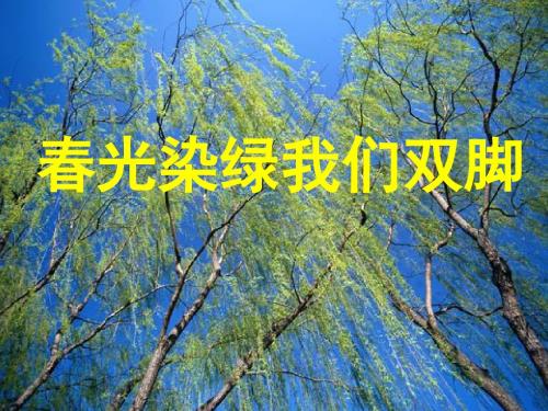 1《春光染绿我们双脚》ppt