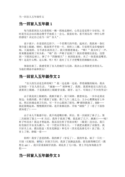 当一回盲人五年级作文