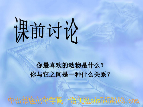 原创高中语文精美课件 巩乃斯的马2