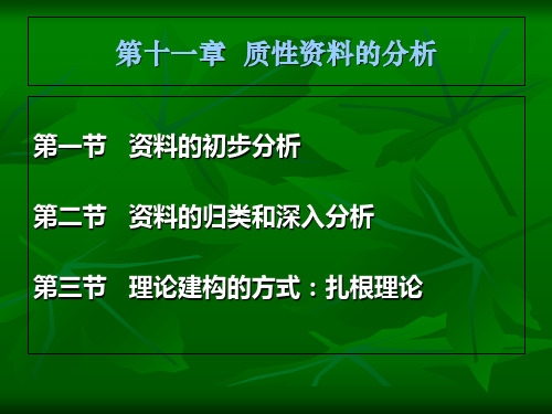 质性资料的分析